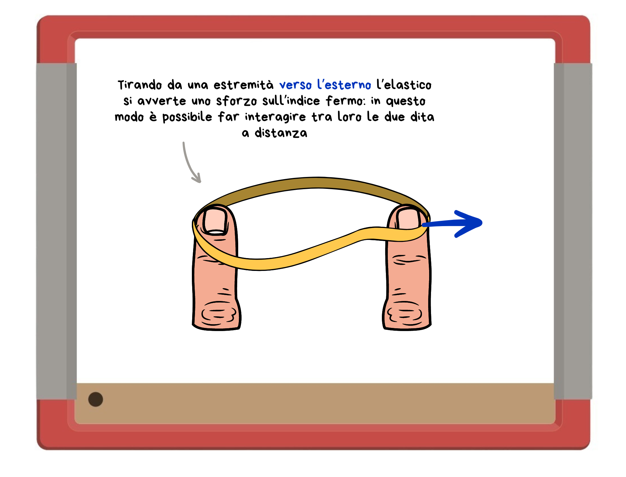 elastico_lafisicachecipiacevincenzoschettini